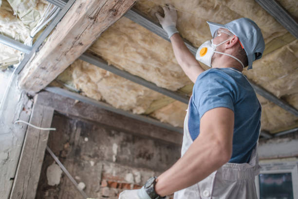 Best Insulation Materials and Products in Warrensburg, MO